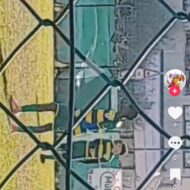 Screenshot_20240731_001957_TikTok.jpg Screenshot_20240731_001957_TikTok.jpg